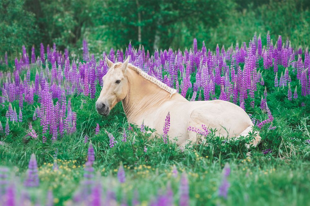 Photograph by Полина Ф