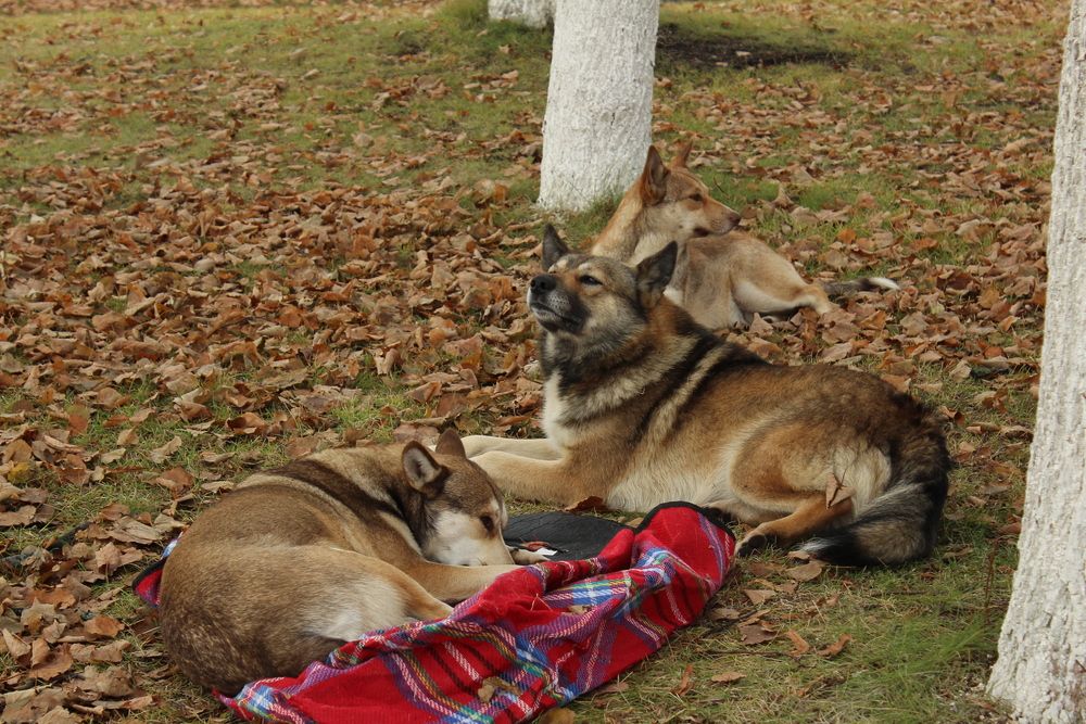 Photograph by Наталья Волкова