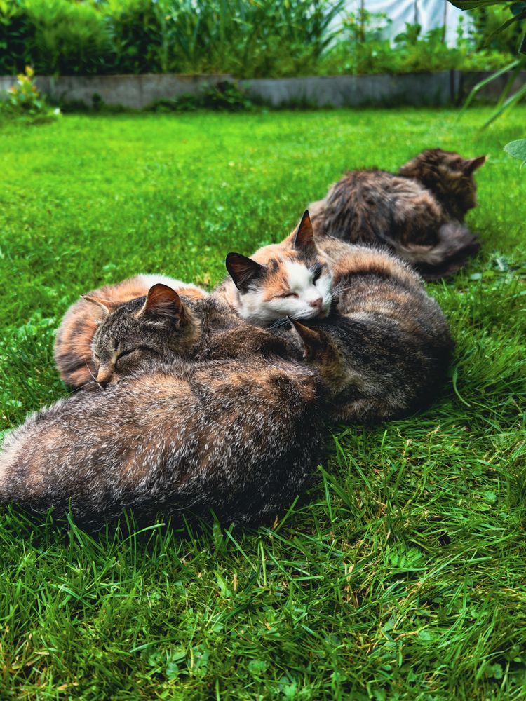 Photograph by Евгений Порсов