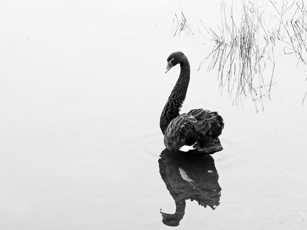 Photograph by Сергей Маслов