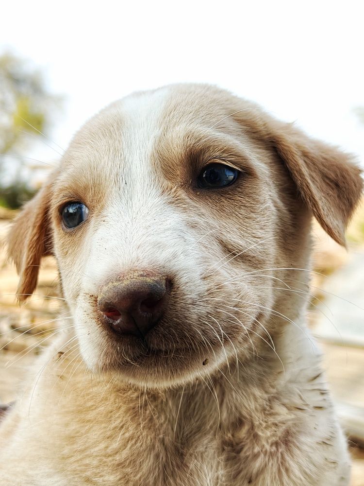 Photograph by Sai Krishna