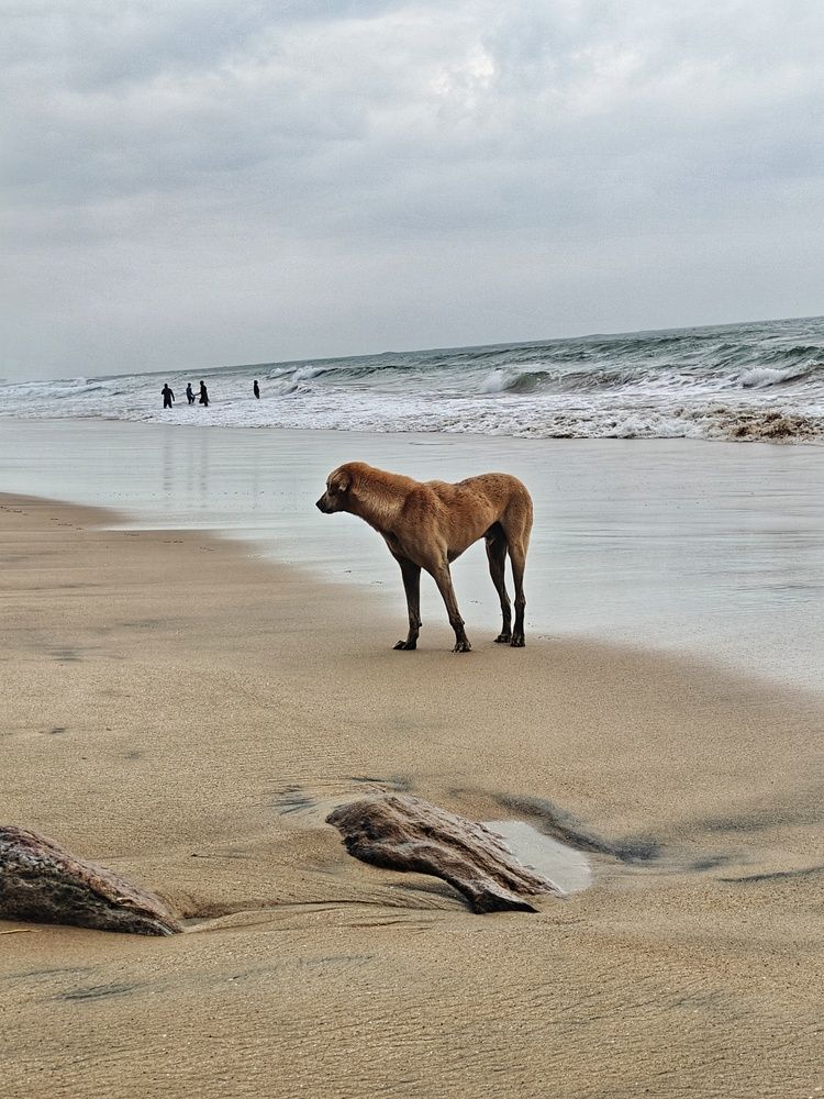 Photograph by Sai Krishna