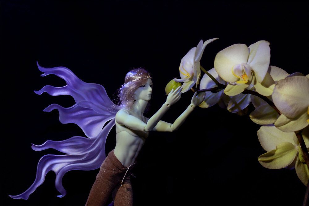 Фотография автора Светлана Долотова