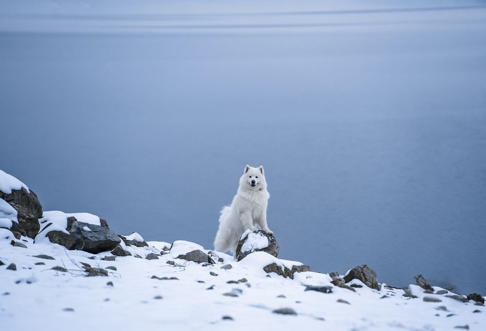 Photograph by Gabor Medgyesy