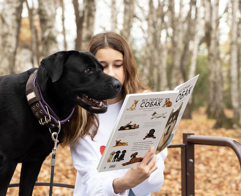 Photograph by Олеся Грекова