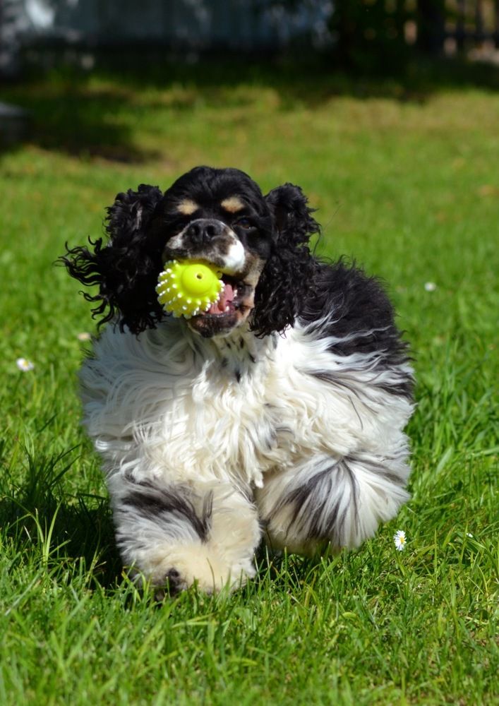 Photograph by Анна Кулакова