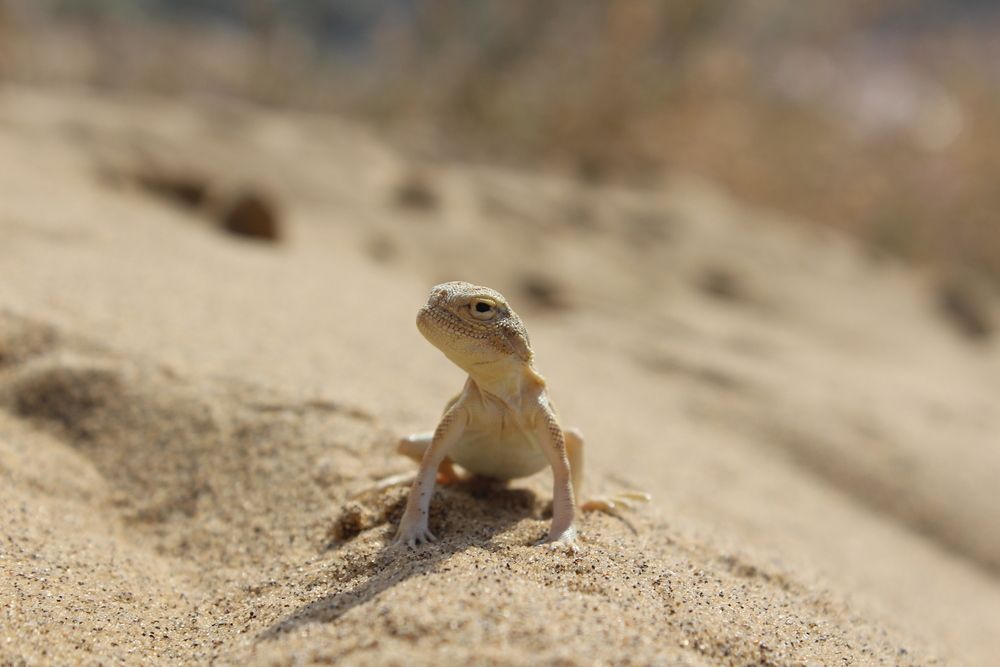 Photograph by Наталья Волкова