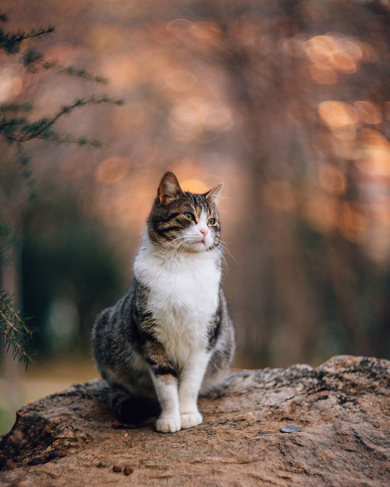 Photograph by Senturk Selman