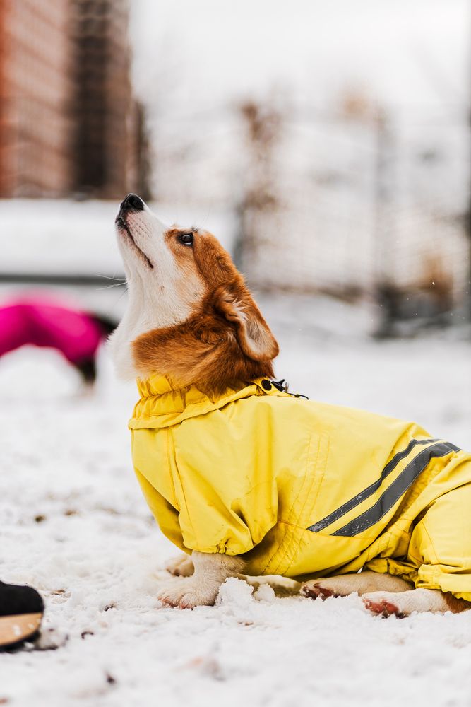 Photograph by Алексей Чеботарев