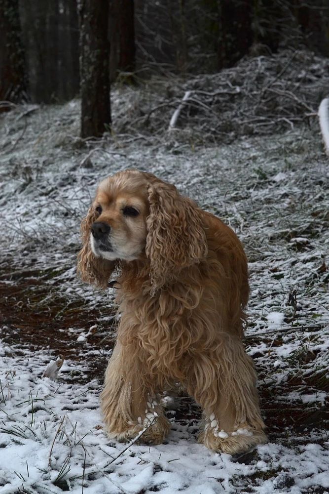 Photograph by Анна Кулакова