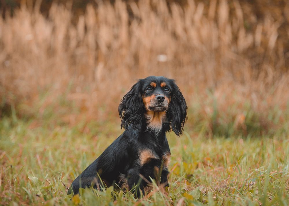 Photograph by Екатерина Медведева