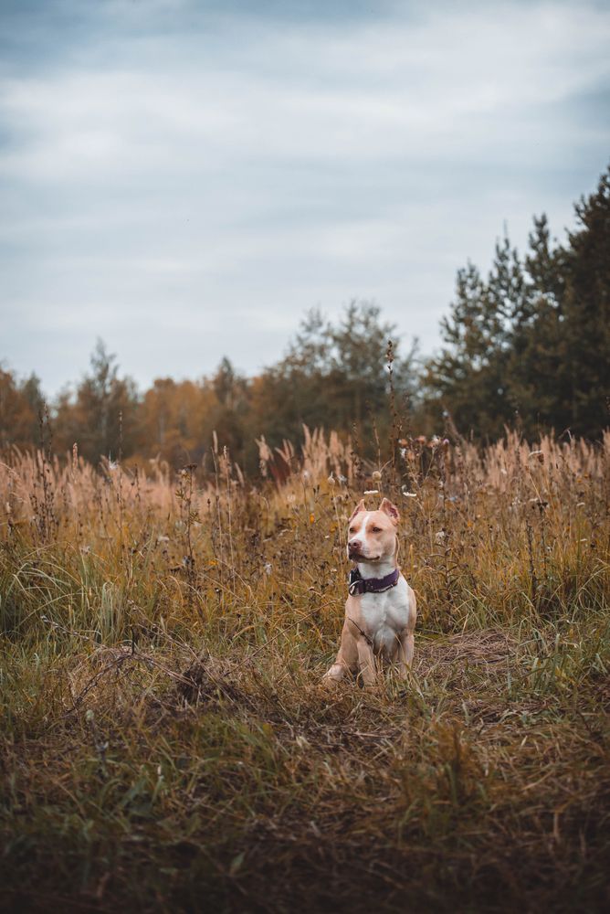 Photograph by Екатерина Медведева