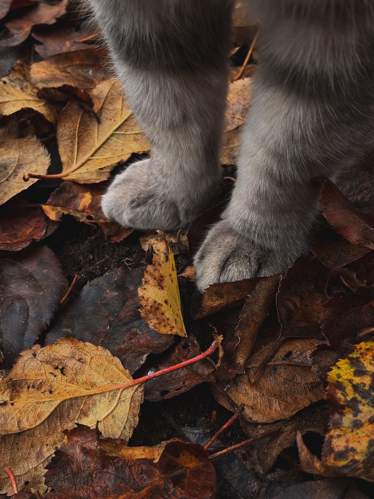 Photograph by Елена Михалева