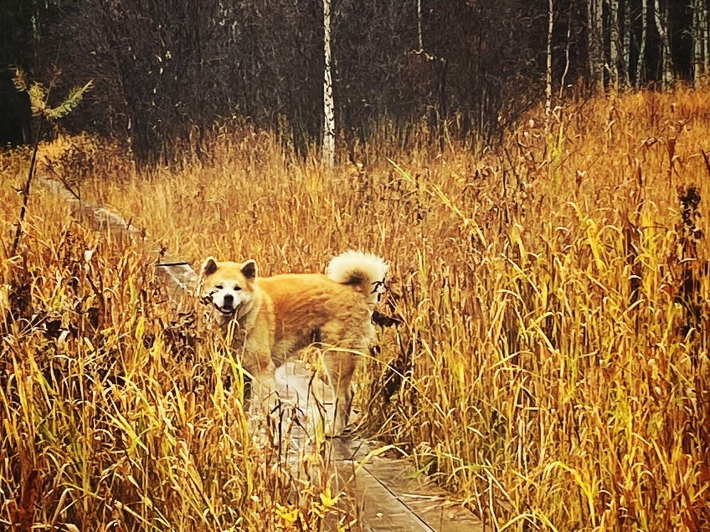 Photograph by Наталья Тарабычина