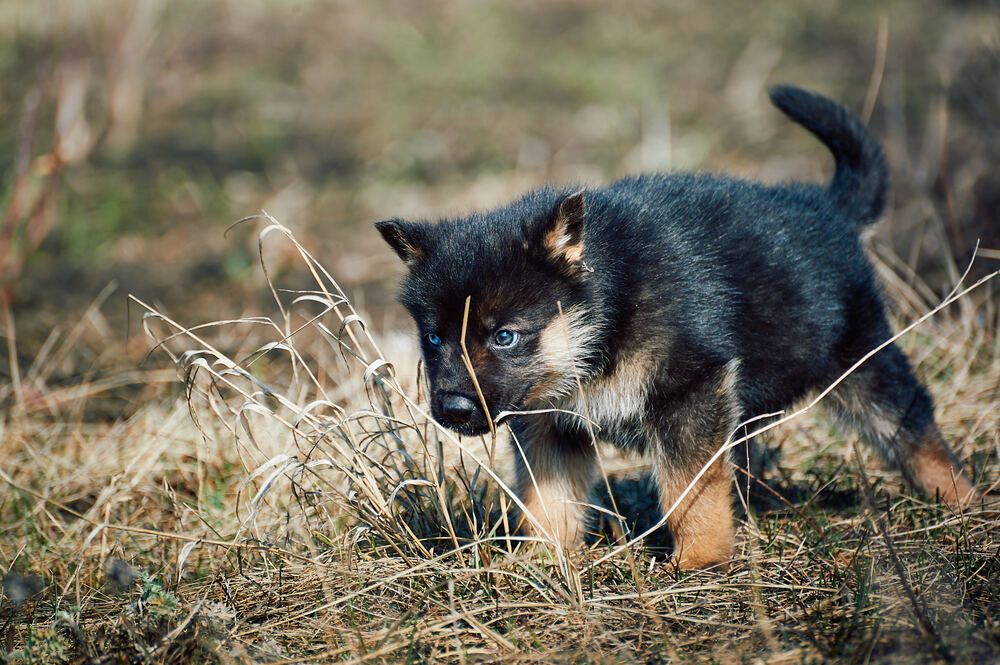 Photograph by Константин Громов