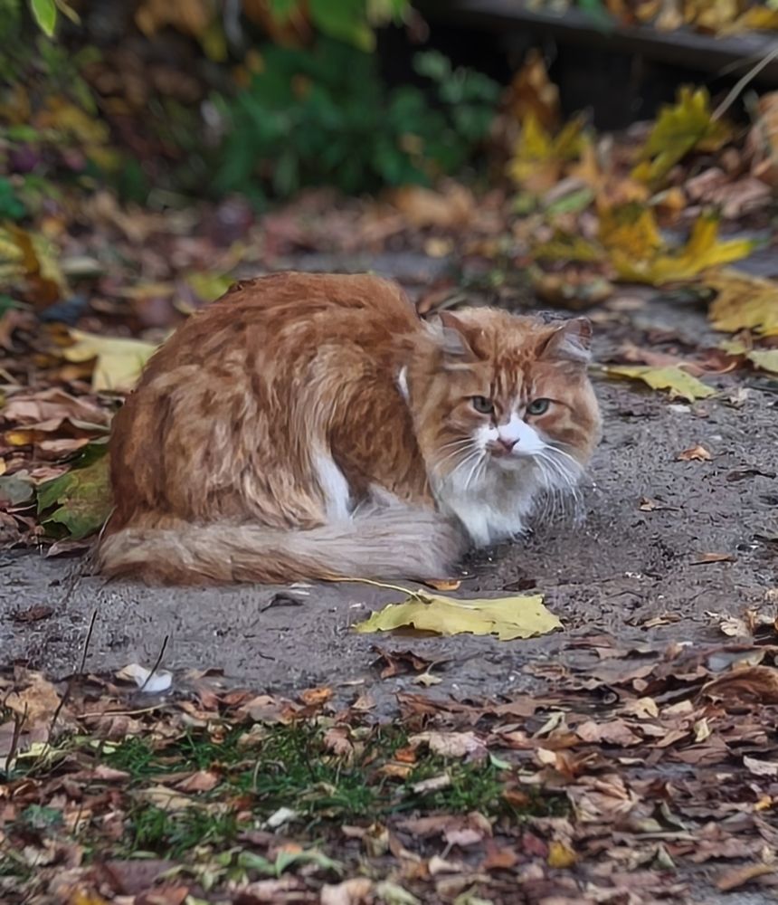 Фотография автора Марина Опарина