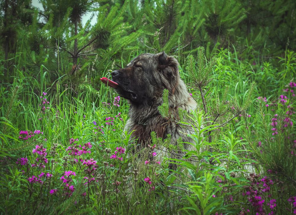 Photograph by Александра Щирова