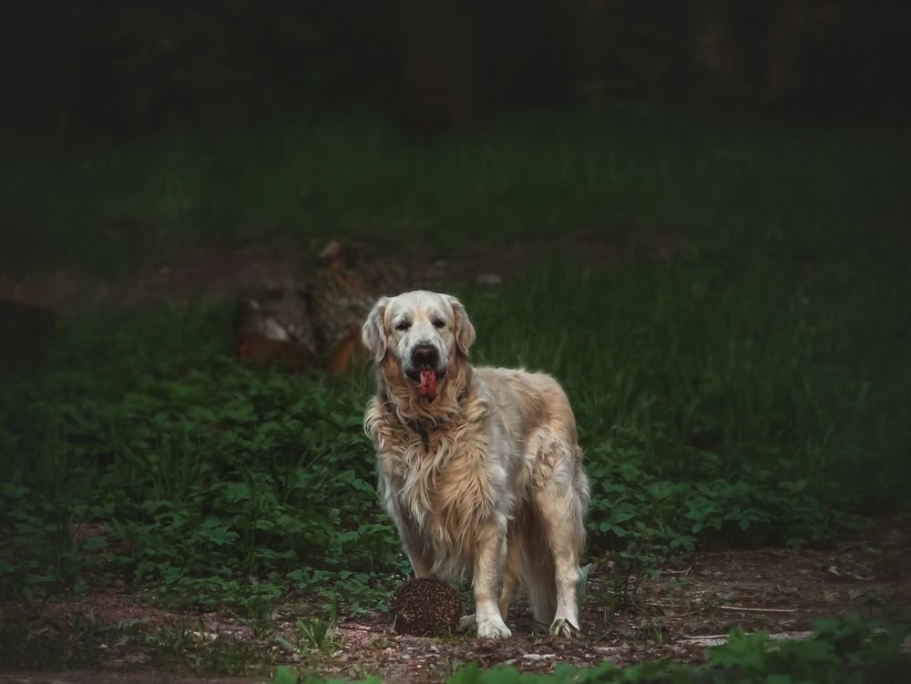 Photograph by Александра Щирова