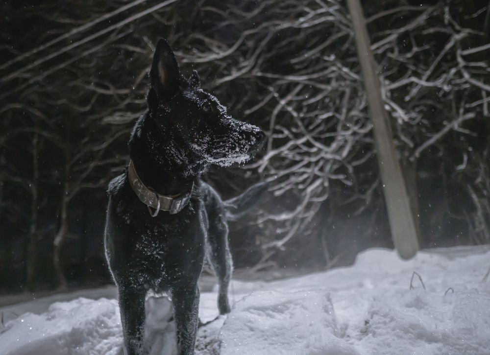 Photograph by Александра Щирова