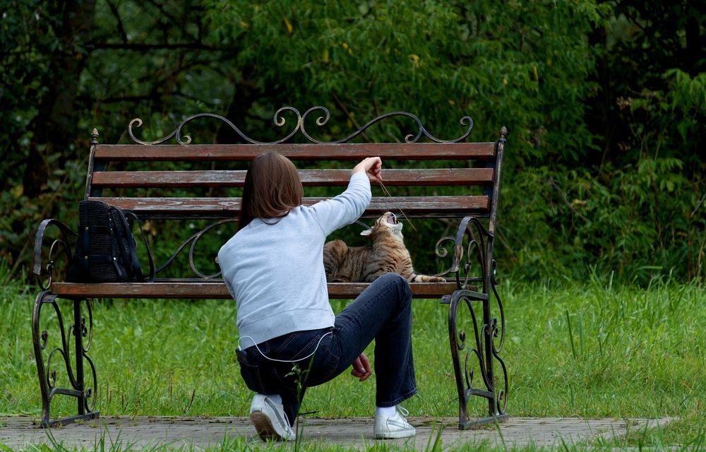 Photograph by Михаил Косолапов