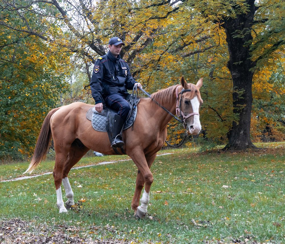 Photograph by Олеся Грекова