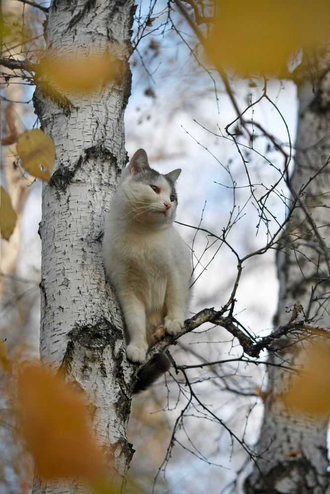 Photograph by Елена Гасенко