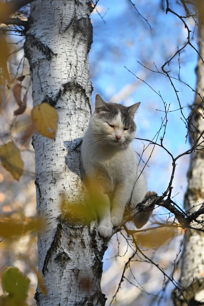 Photograph by Елена Гасенко