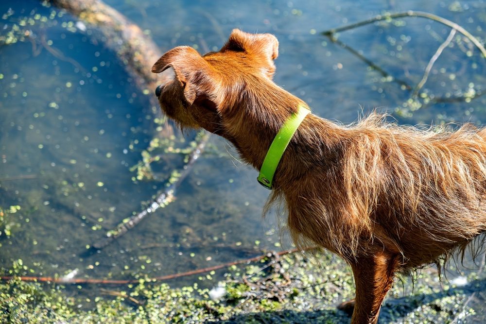 Photograph by Михаил Косолапов