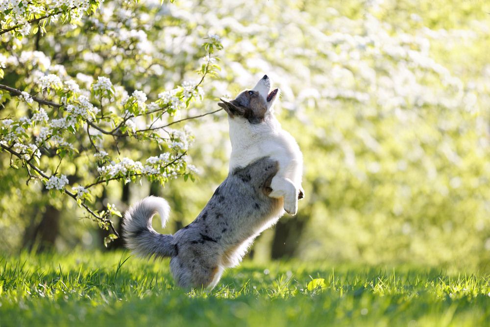 Фотография автора Татьяна Фролова