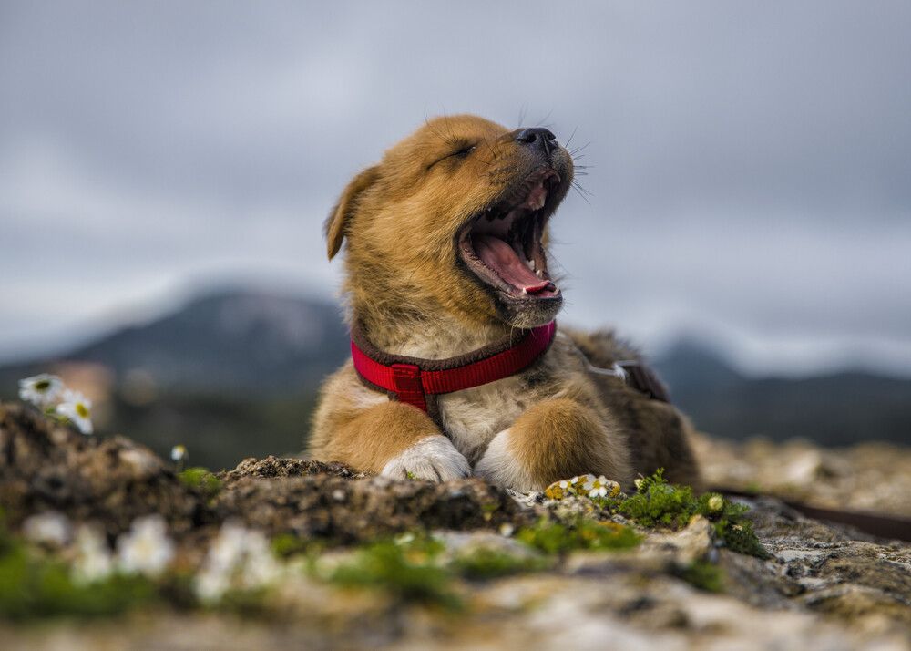 Photograph by Alexandros Melidis