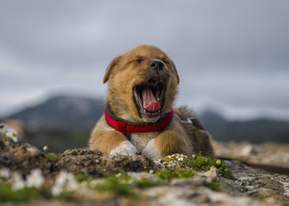 Photograph by Alexandros Melidis