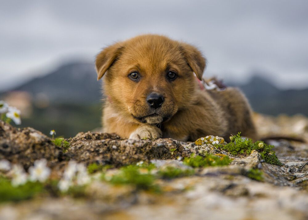 Photograph by Alexandros Melidis