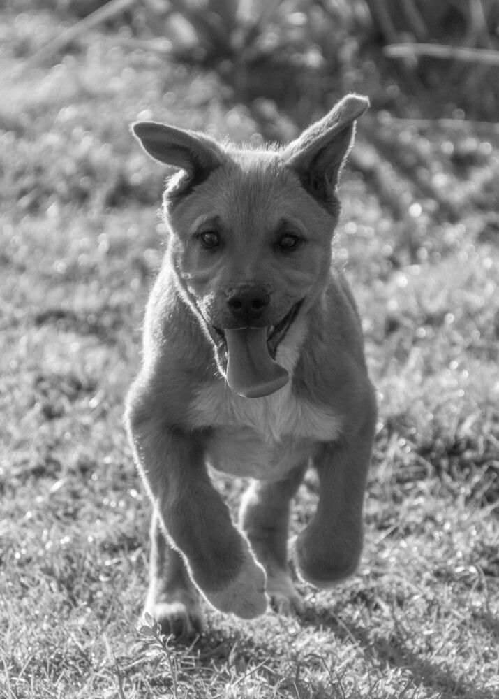 Photograph by Alexandros Melidis