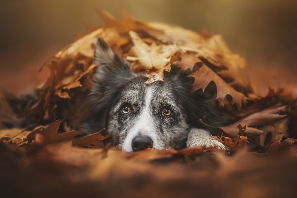 Photograph by Elke Braet