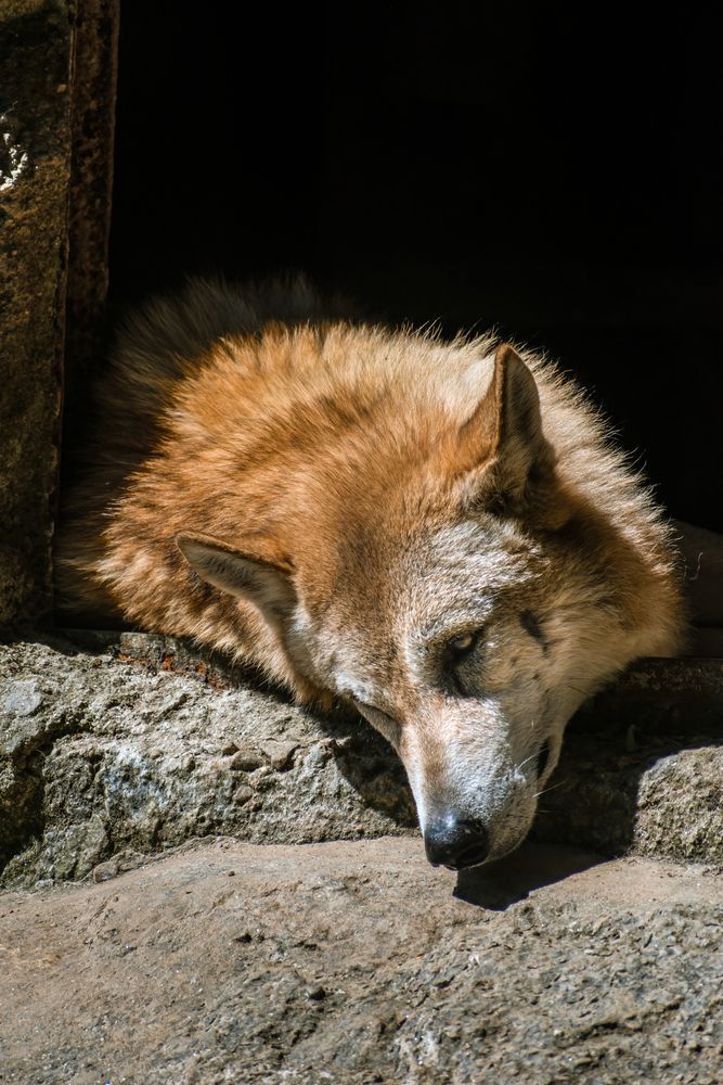 Photograph by Shrinjoy Maiti