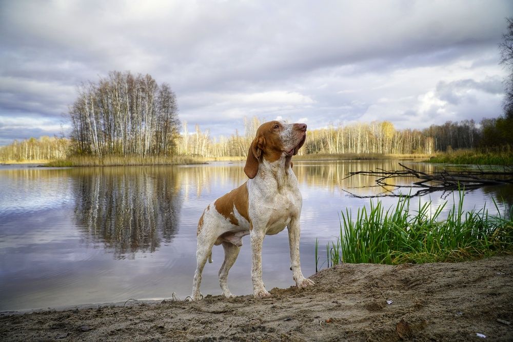 Photograph by Марина Безенкина