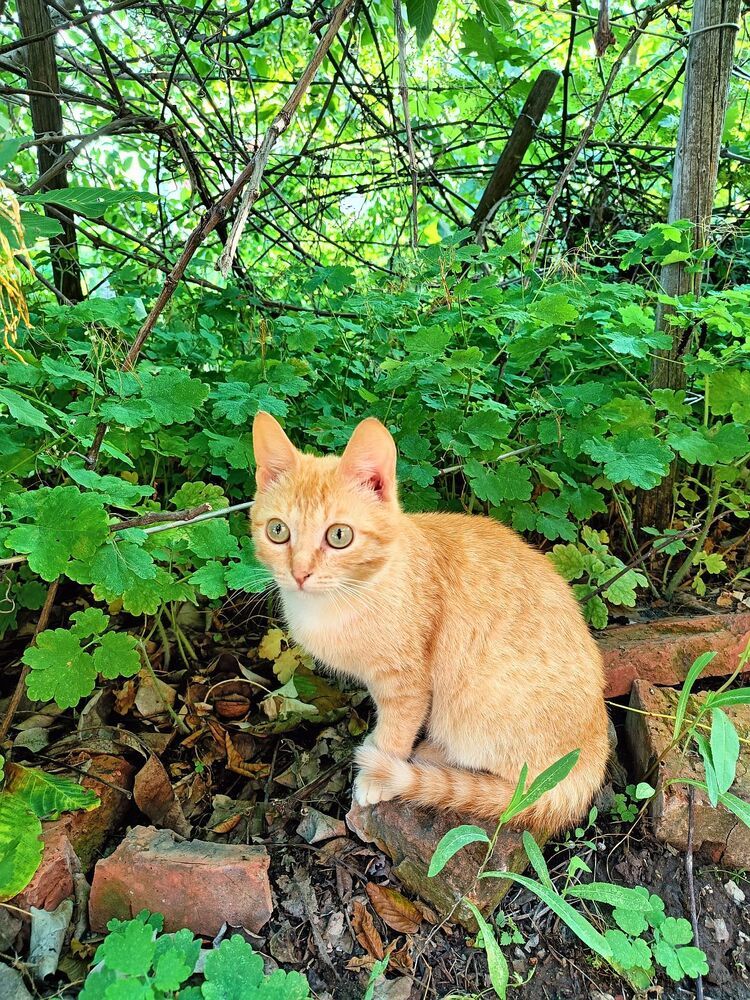 Photograph by Юрий Варюхин