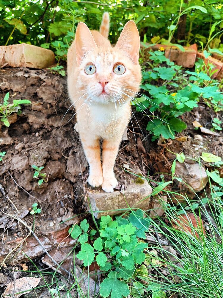 Photograph by Юрий Варюхин