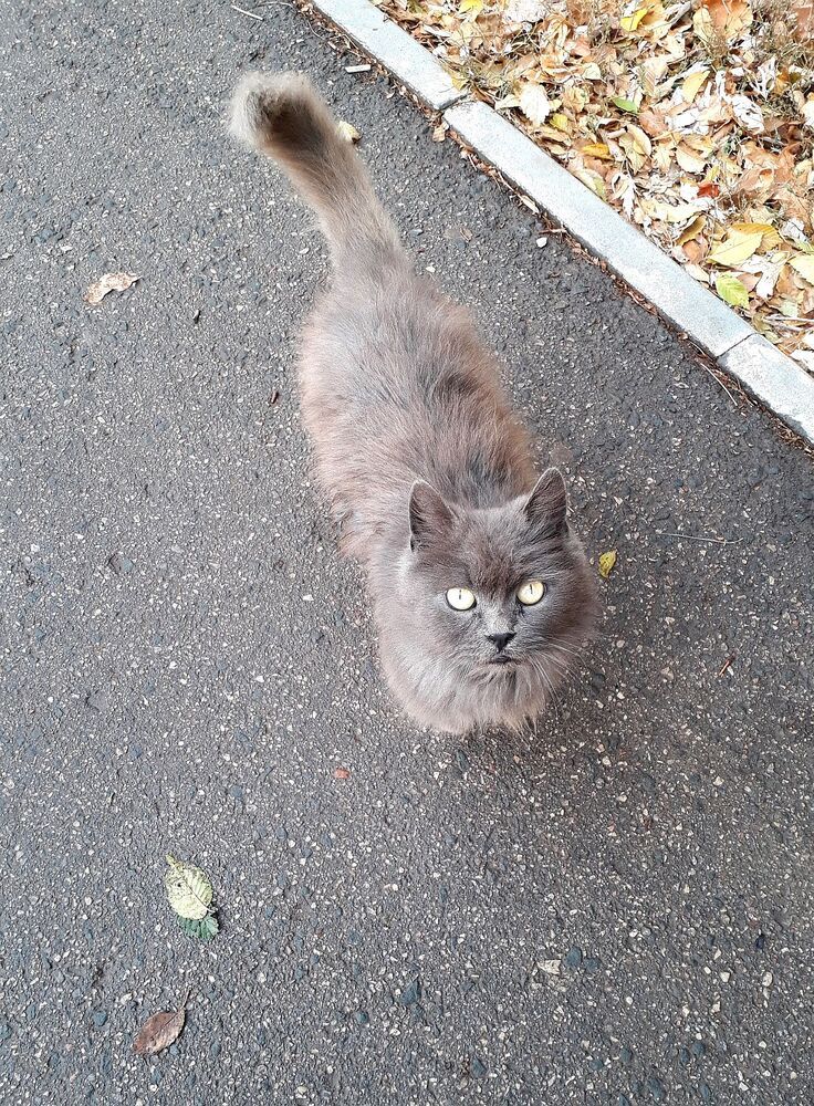 Photograph by Юрий Варюхин