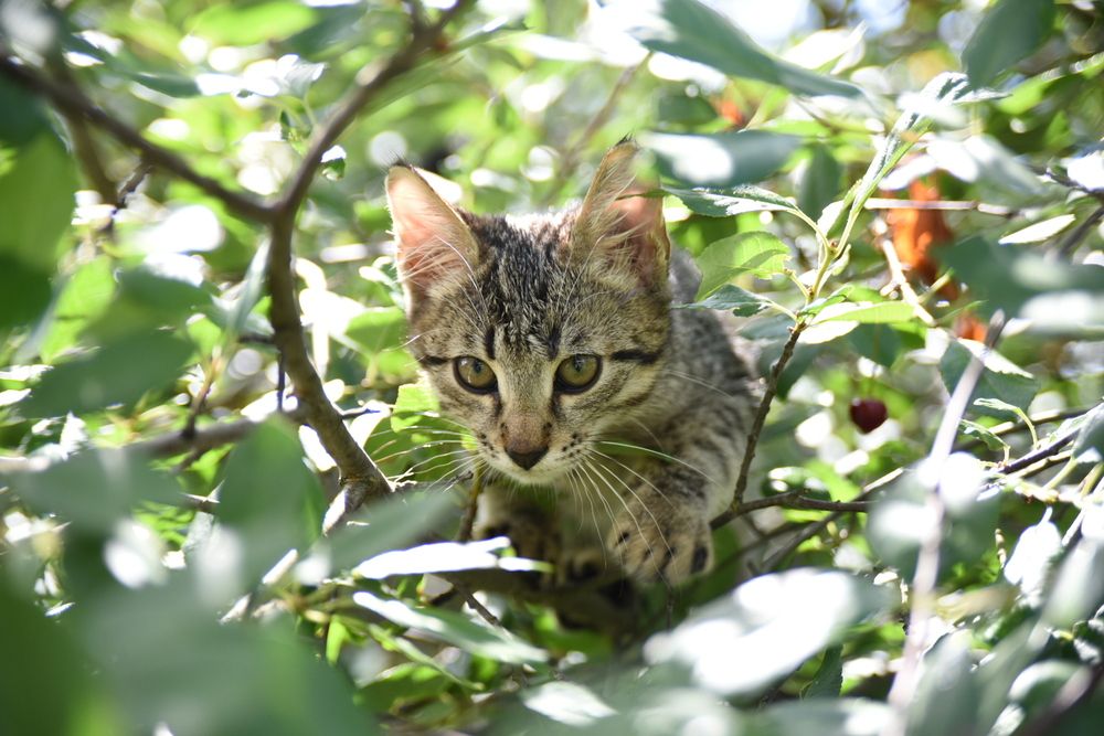 Photograph by Семен Батов