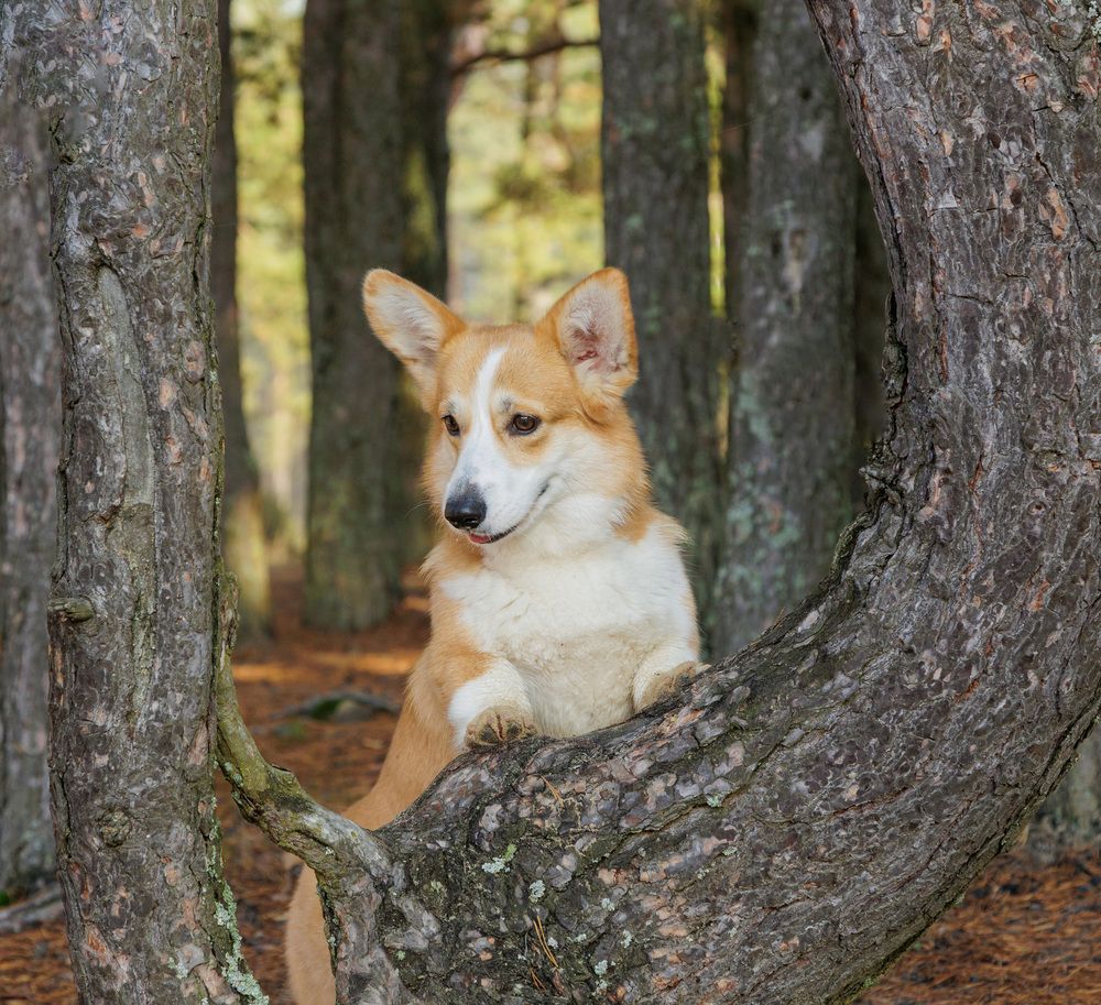 Photograph by Наталья Кирина