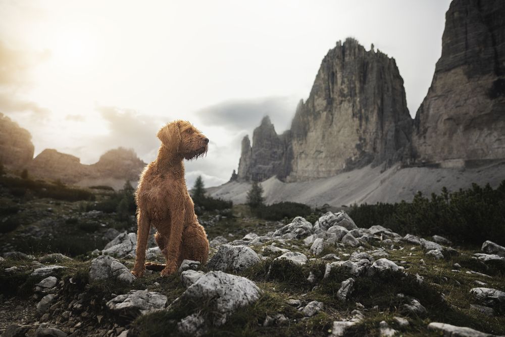 Photograph by Elke Braet