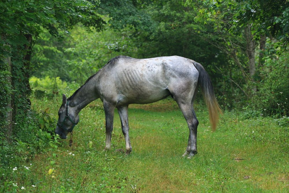 Фотография автора Сергей Кульков