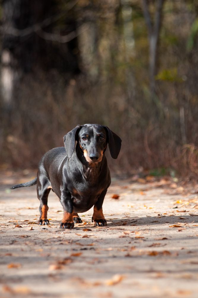 Photograph by Дмитрий Тимин