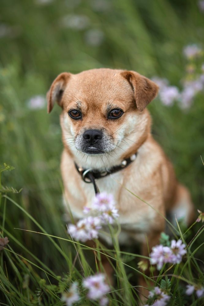 Photograph by Марина Иванова