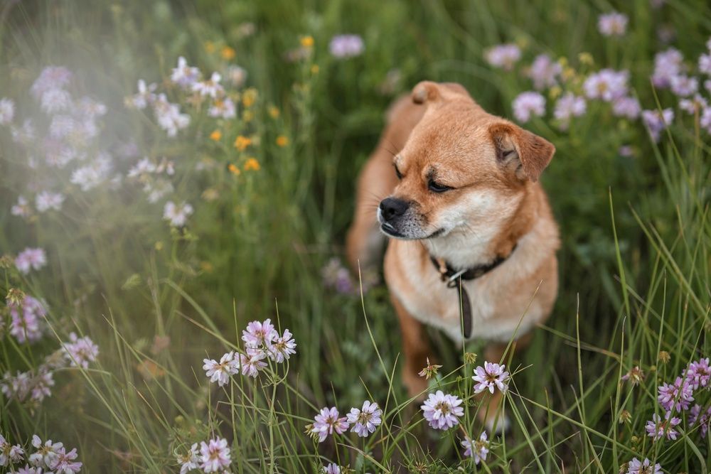 Photograph by Марина Иванова