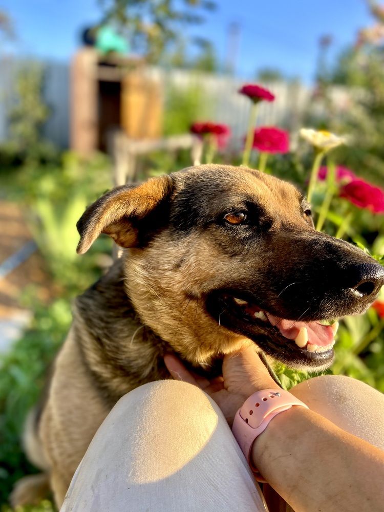 Photograph by Наталья Душакова