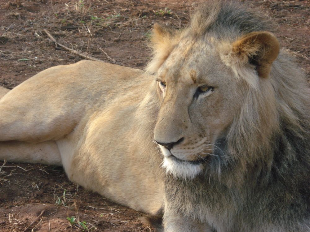 Photograph by Валентина