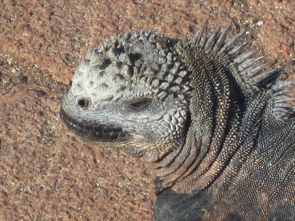 Photograph by Валентина