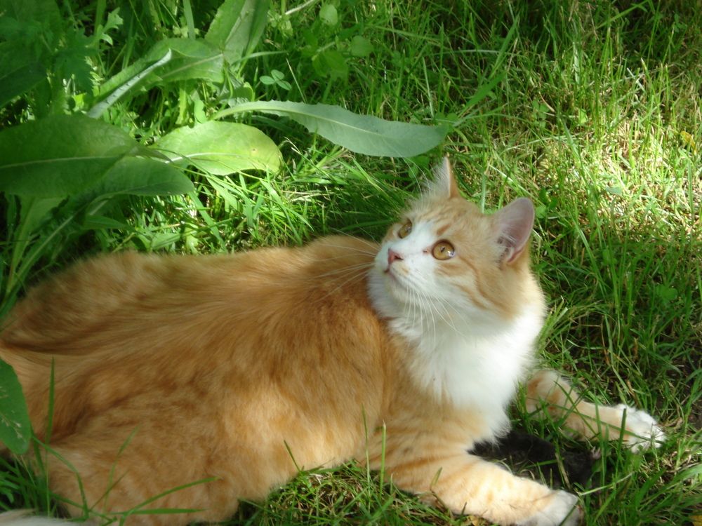 Photograph by Валентина